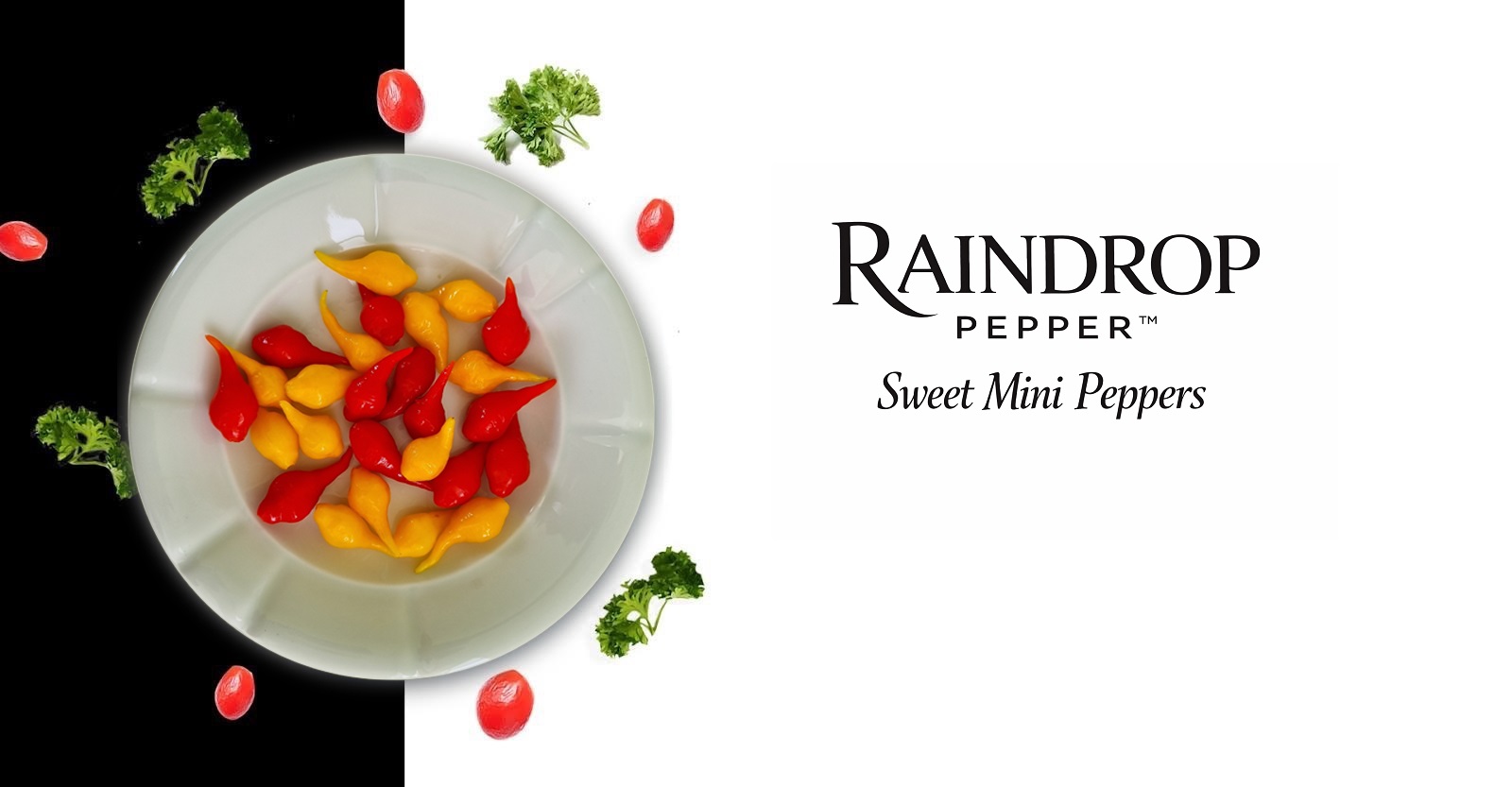 Sıkça Sorulan Sorular